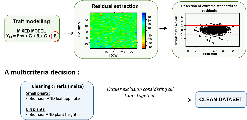 Schematic representation of a multi-trait approach for detection of outlier plants (case of maize), from @AlvarezPrado2019.